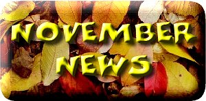 nov_news[1]